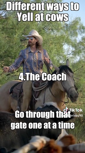 Different Ways to Call Cows: Fun Techniques Revealed