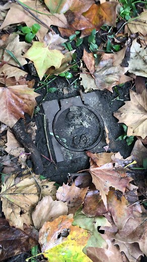 Discover Exciting Geocaching Adventures in Melbourne, Australia