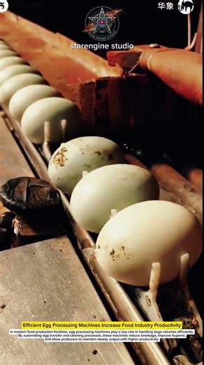 Efficient Egg Processing Machines Increase Food Industry Productivity #machines