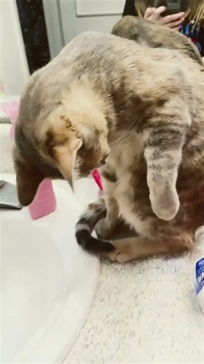 Oh... That's where my mp3 player went