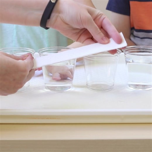278K views · 763 reactions | Rainbow Walking Water Science Experiment for Kids https://funlearningforkids.com/rainbow-walking-water-science-experiment-kids/ | Fun Learning Activities for Kids | Facebook
