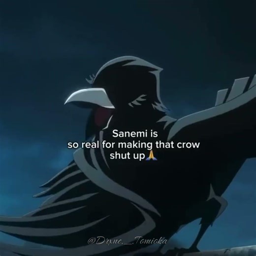 ||#dontflop#demonslayer#kny#kimetsunoyaiba#viral#crow#sanemi#obanai#muichiro#training#anime||