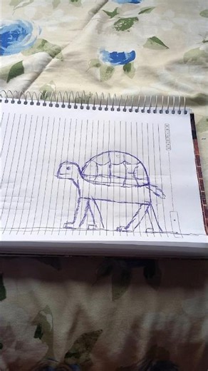 How does a blind person draw a turtle? #shorts