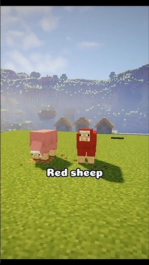 The RAREST Sheep in Minecraft Isn't Pink…