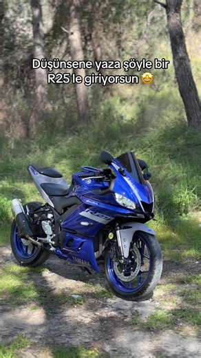 Introducing the Yamaha R25: A Summer Adventure Awaits!