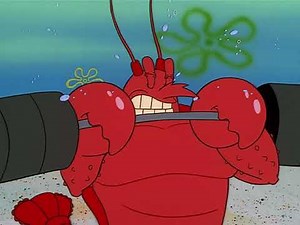 Observe - Spongebob Squarepants