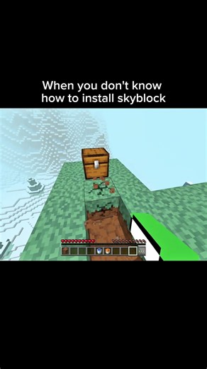 how to install Skyblock 😭🙏🏼 #minecraft #meme #shorts