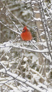 66K views · 2.4K reactions | The winter solstice is upon us again. ❄️...