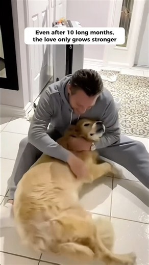 Try Not To Cry: Emotional Dog Reunions After Months Apart 🥺❤️