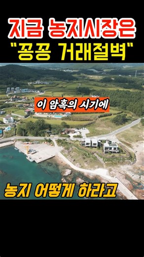 농지 거래절벽 & 전수조사 #착한부동산