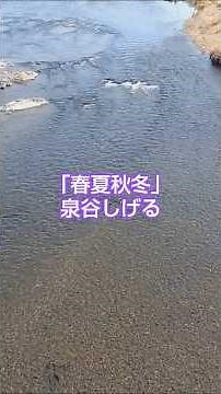 【川の風景】泉谷しげるさんの「春夏秋冬」です。京都府福知山市の土師川の風景です。