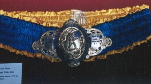 FBI investigating theft of boxing championship belts