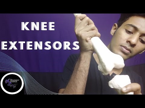 KNEE EXTENSORS -KNEE JOINT KINETICS (KNEE COMPLEX BIOMECHANICS) PHYSIOTHERAPY TUTORIALS