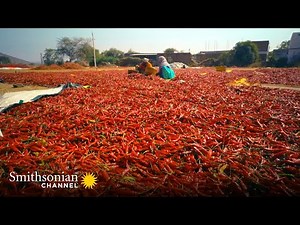 This Indian City Sells 3,500 TONS of Chilies EVERYDAY 🌶 Inside The Factory | Smithsonian Channel