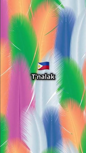 Dream Weavers of Mindanao: The Art of T’nalak. #philippines #fypシ゚viral
