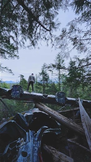 Plane Crash in Tofino BC