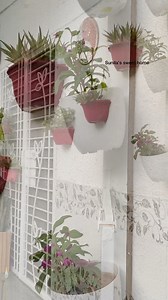 654K views · 8.8K reactions | Diy Hanging Plant Stand for my new Plants♻️ | Sunila’s sweet home | Facebook