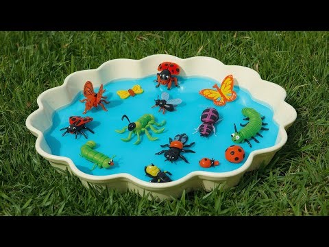 “A to Z Insect Alphabet Song: Funny Bugs Teaching Kids the ABCs in a Cute Way!”