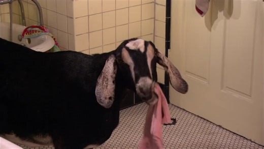 How I Met Your Mother Overview and Barney's Impact