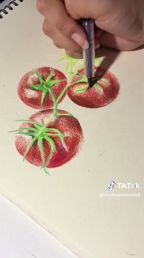 색연필로 그리는 토마토 예술