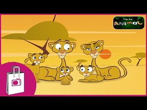 I Am An Animal - The Lioness - My Life Story