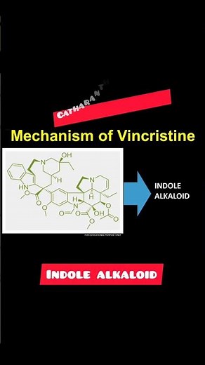 vincristine mechanism