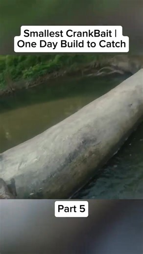 3.2K views · 51 reactions | Smallest CrankBait | One Day Build to Catch Part 5 #mechanic #fishing #autobody #automechanic #fyp | Marling Baits | Facebook