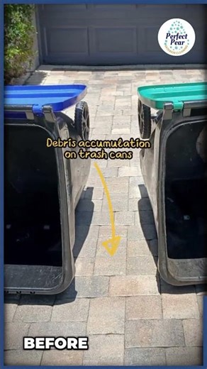 Tired of algae, mold, or mildew on your pool deck, or even your trash cans? We can take care of it!