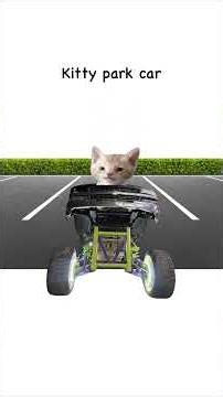 Squatted Trucks explained by cats #squattedtrucks🤢 #trucktok🔥 #carolinasquat #cartok #controversy