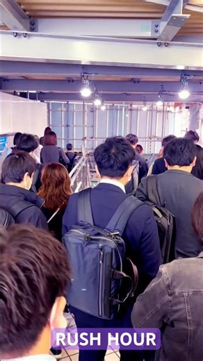 Surviving the World's Wildest Rush Hour in Tokyo 🚉