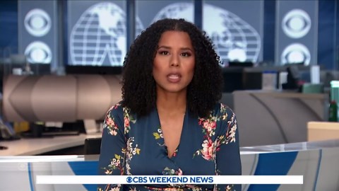 Several injured in mall shooting