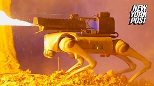 Company unveils robot dog companion - with flamethrower attached