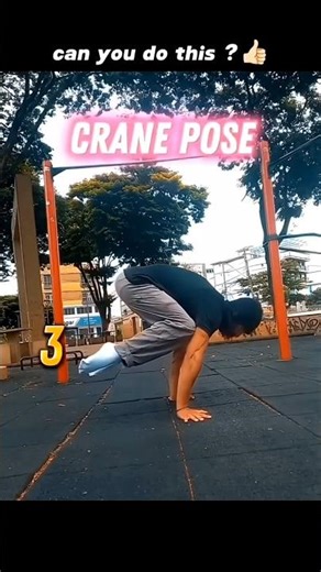 crane pose tutorial 🥵#calesthenic #ytshorts #cranepose #shortvideo
