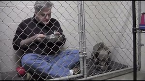 Watch: Vet helps rescue dog by eating with her in cage