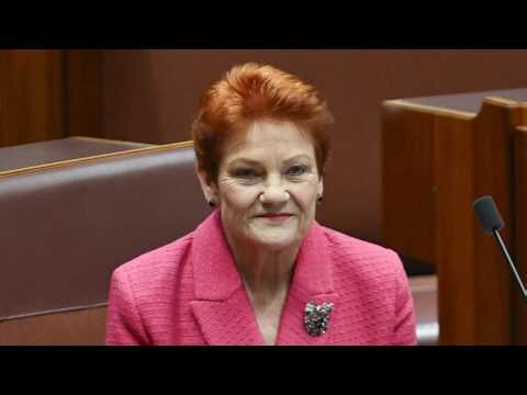 Japanese guests queue for photos with Pauline Hanson at Parliament House