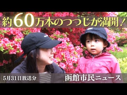 恵山つつじまつり【（2025年5月31日放送）函館市民ニュース】