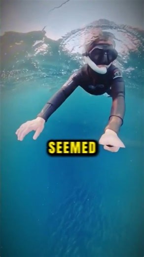 Solo Diver's Worst Nightmare Moment...