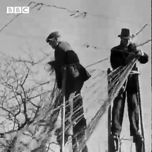 Today is Beer Day Britain. In 1949, farmers in Kent were tending to their hops the old-fashioned way – on stilts. Hopefully beer drinkers raised a glass to them! #beerdaybritain #cheerstobeers | BBC Archive