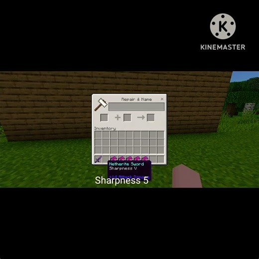 best sword minecraft #shortvideo #shorts #minecraft #PSD1 #DGUGAMESYT #viral #viralvideo#bts