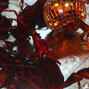 1.8K views · 24 reactions | Alert ‪Live Crawfish are in Y'all! 1 Lb of Beer braised Crawfish with corn and sweet pots swimming in old bay butter! 呂⛵️呂#TimeToGetCracking‬ | LoLo's Seafood | Facebook