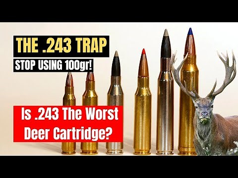 Ultimate .243 Ammo Guide: Choosing Between Varmint (55gr) and Deer (100gr) Loads