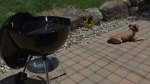 Charcoal grilling 101