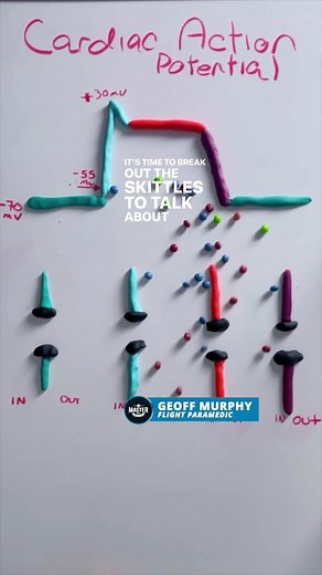 9.4K views · 75 reactions | here's a quick lesson on cardiac action potential with some Skittles! #paramedicstudent #emtstudent #emtschool #emt #emtlife #paramedic #paramedicschool #paramedicos #paramediclife #paramedicscience #paramedical | Master Your Medics | Facebook