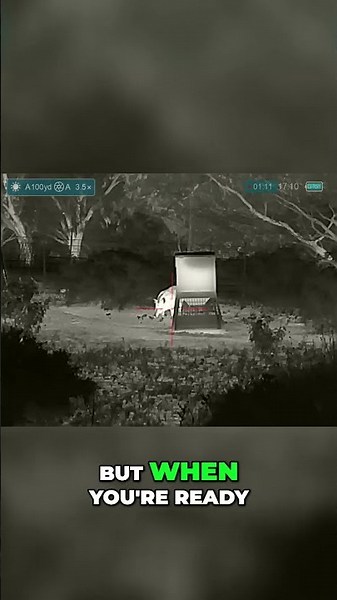 Hog Hunting 101: Safety Tips and Perfect Shot Guidance #shorts