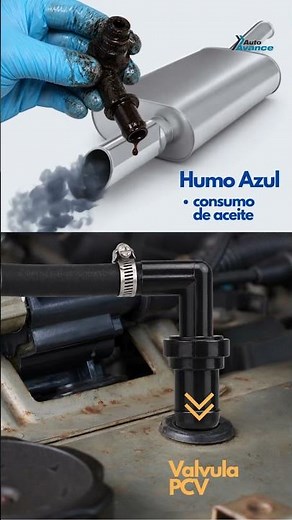 Válvula PCV: humo azul y consumo de aceite - Gases del Cárter #pcvvalve #automobile
