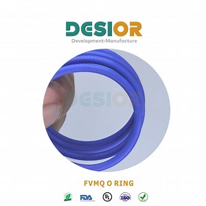 [Hot Item] Extreme Performance Ffkm Seals for Demanding Industrial Applications