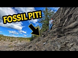 We Discovered a Museum Quality Fossil in this Abandoned Limestone Quarry!