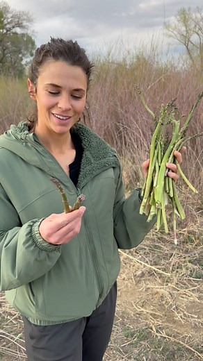 Asparagus hunting, or should we say asparagi hunting:). #asparagus #wildasparagus #springtime #farm #familytime #husband #wife | Jared Hatch