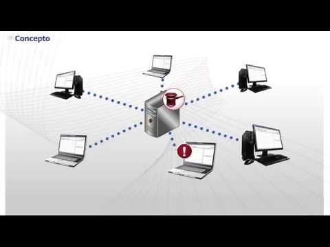 1.1. Introduction | Lex-Doctor 10 (Official Course)