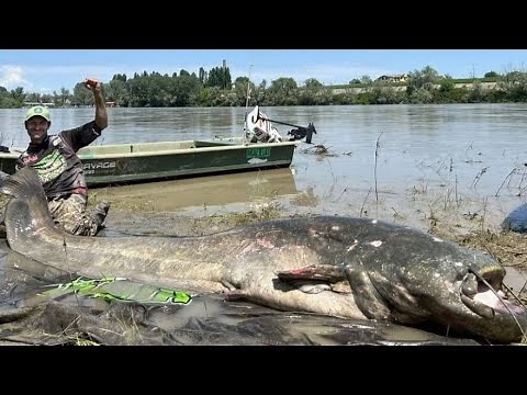 A New WORLD RECORD for The Largest WELS CATFISH Ever Caught, Set by Italian Angler May 31st 2023!